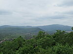 IMG_6975