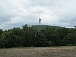IMG_7274