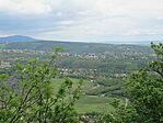 IMG_7320