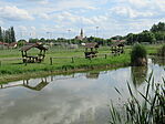 IMG_7353
