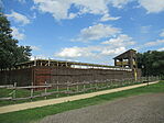 IMG_7368