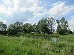 IMG_7384