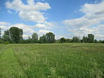 IMG_7385