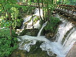 IMG_7600