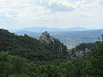 IMG_8101