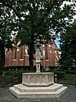 IMG_0228