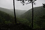 IMG_8564