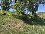IMG_2338