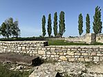 IMG_2294