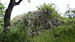 P1070669