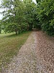 IMG_20250508_150609
