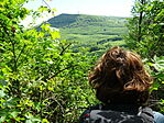 DSC00246