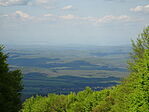 DSC00249