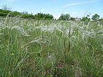 DSC00256
