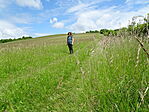 DSC00293