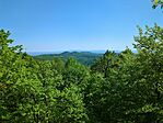 IMG_20250501_101205_330.jpg_compressed