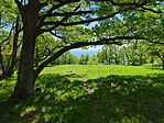 IMG_20250501_101648_033.jpg_compressed