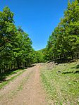 IMG_20250501_103923_276.jpg_compressed
