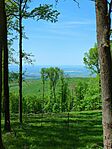 IMG_20250501_104244_458.jpg_compressed
