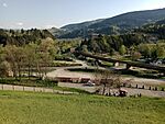 IMG_20250503_181124120_MFNR