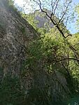 IMG_20250502_124749892_MFNR