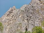 IMG_20250502_125204469_MFNR
