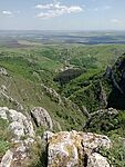 IMG_20250502_135916259_MFNR