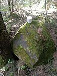 IMG_20250503_110159444_MFNR