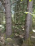 IMG_20250503_110231419_MFNR