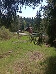 IMG_20250503_110252650_MFNR