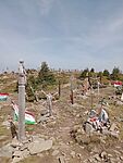 IMG_20250504_104228151_MFNR