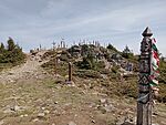 IMG_20250504_111010753_MFNR