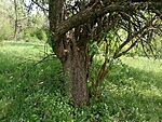 IMG_20250504_143909869_MFNR