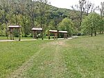 IMG_20250504_144039153_MFNR