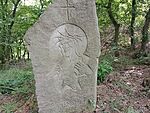 IMG_20250504_155430728_MFNR