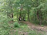 IMG_20250504_155439127_MFNR