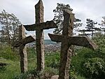 IMG_20250504_155506481_MFNR
