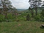 IMG_20250504_155548389_MFNR