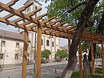 IMG_20250504_162108641_MFNR