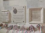 IMG_20250507_120056197_MFNR