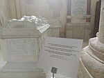 IMG_20250507_120126074_MFNR