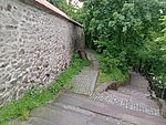 IMG_20250505_195725597_MFNR