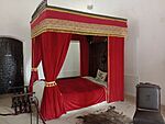 IMG_20250507_144926969_MFNR