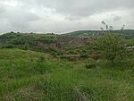 IMG_20250508_092756740_MFNR