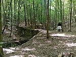 IMG_20250518_164002576_MFNR