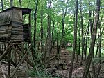 IMG_20250518_165230434_MFNR