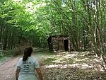 IMG_20250522_143608928_MFNR
