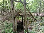 IMG_20250522_144215429_MFNR