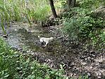 IMG_2318