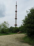 -7